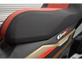 REFORM MOTORS 2025 BMW C400 X " ORJİNAL SİSSY BAR "
