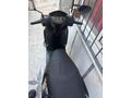 orijinal motosiklet Sahibinden SYM Symphony SR 125