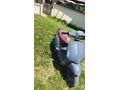 Sahibinden Kuba Blueberry 50 Düzce