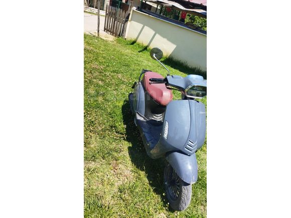 Sahibinden Kuba Blueberry 50 Düzce