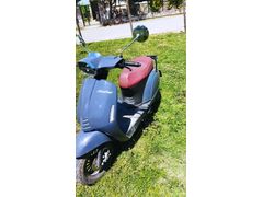 Sahibinden Kuba Blueberry 50 Düzce