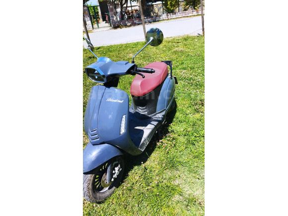 Sahibinden Kuba Blueberry 50 Düzce