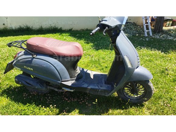 Sahibinden Kuba Blueberry 50 Düzce