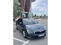 Sahibinden Hatasız Servis Bakımlı Octavia 1.0 e-Tec Elite