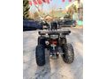 Sahibinden ATV & UTV Revolt RA5
