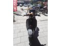 Sahibinden Falcon Turtle 50