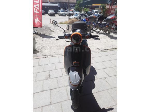 Sahibinden Falcon Turtle 50