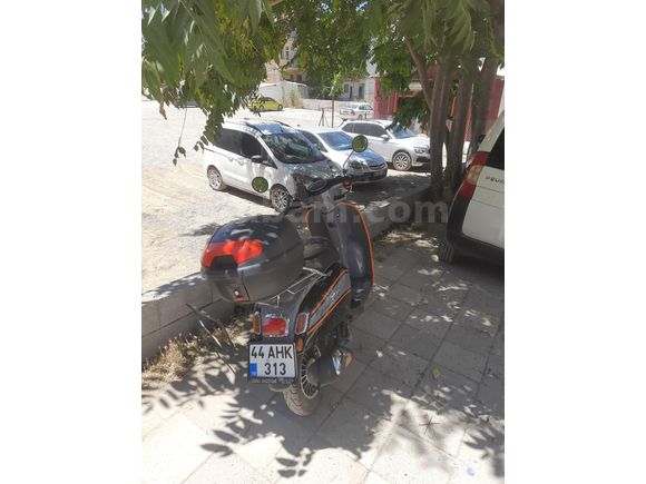 Sahibinden Falcon Turtle 50