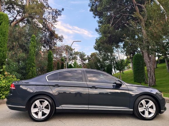 VW PASSAT/CAM GİBİ/LANSMAN RENK