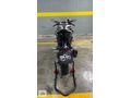 TMS MOTORS'TAN 2024 MODEL CFMOTO SR450