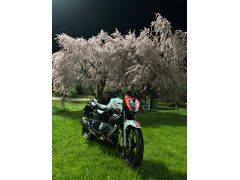 Sahibinden RKS 125-S