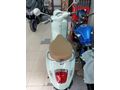 MİNT YEŞİL Primavera 125 l