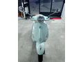 MİNT YEŞİL Primavera 125 l