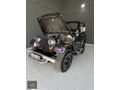 GDZ AUTO-JEEP WİLLYS 1959