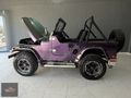 GDZ AUTO-JEEP WİLLYS 1959