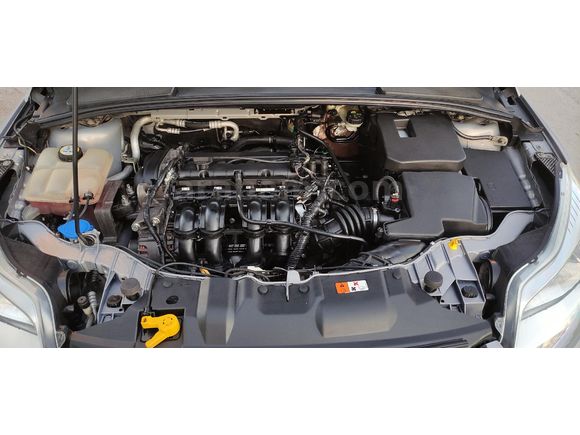 Ford Focus Style  Plus