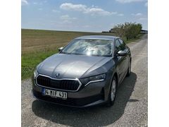 Sahibinden Skoda Octavia 1.5 Mhev Elite 2024 Model 