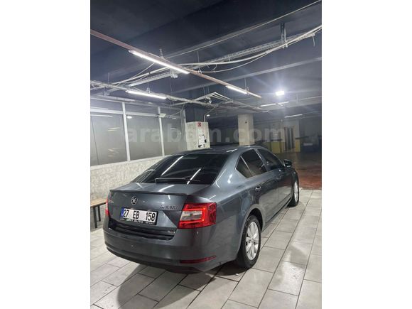 Sahibinden Skoda Octavia 1.6 TDI Optimal 2017 Model 