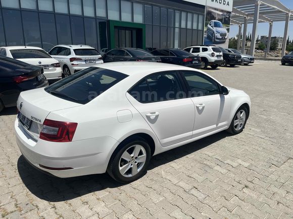 Sahibinden Skoda Octavia 1.6 TDI Optimal 2019 Model 