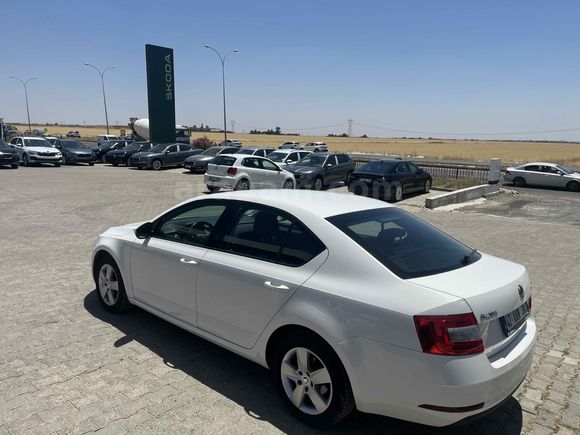 Sahibinden Skoda Octavia 1.6 TDI Optimal 2019 Model 