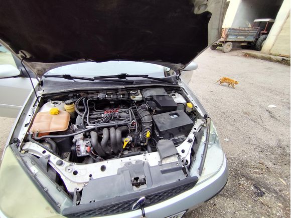 Sahibinden Ford Focus 1.6 Ghia 2004 Model