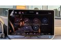 2024 CUPRA FORMENTOR 1.5 eTSI MHEV HATASIZ CAM TAVAN