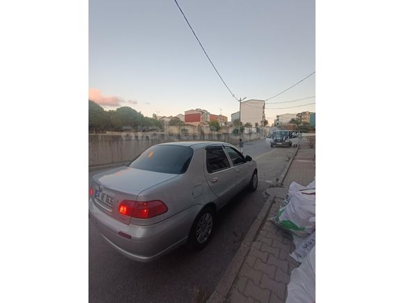 Fırat Taşdemir