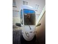 Sahibinden Regal Raptor K3 KLS Bayburt