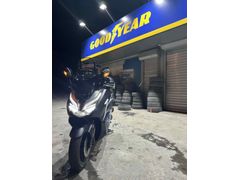 Sahibinden Honda Forza 250 (NSS250) 