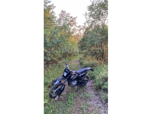 Sahibinden Kuba Race 125 
