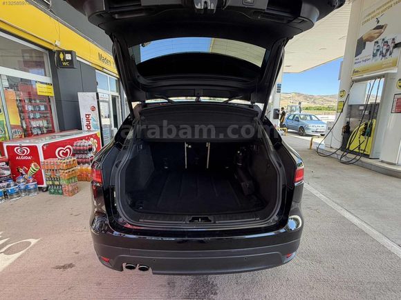 ATAŞSALAR'DAN JAGUAR