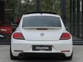 2012 Beetle 1.4 TSI DSG - Led Far/Stop / Vakum / Coilover