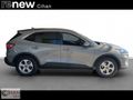 RENEW CİHAN PLAZA FORD KUGA 1.5 ECOBLUE STYLE HATASIZ