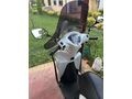 Sahibinden Honda Dio 