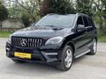 SBS GARAGE DEN AMG ML 350 DİZEL 4 MATIC 258HP