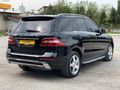 SBS GARAGE DEN AMG ML 350 DİZEL 4 MATIC 258HP
