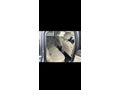 Sahibinden Ford C-Max 1.6 TDCi Titanium X 2012 Model Edirne