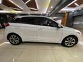 Otomatik camtavan 110 BİNDE
