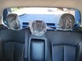 2. SAHİBİNDEN ORJİNAL DEĞİŞENSİZ 4x4 Premium
