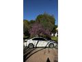 Sahibinden Opel Insignia 1.6 T Cosmo 2011 Model 
