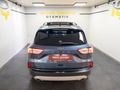 "%0 FAİZ KREDİ"2022 FORD KUGA 1.5 ECO BLUE TITANIUM "HATASIZ"