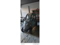 Galeriden Regal Raptor K4 Bursa