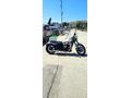 Sahibinden Regal Raptor Daytona 250