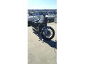 Sahibinden Regal Raptor Daytona 250