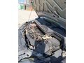 ACİL SATILIK                                 Sahibinden Ford C-Max 1.6 Trend 2004 Model