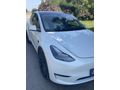 Sahibinden Tesla Model Y Performance (Legacy) 2023 Model Manisa