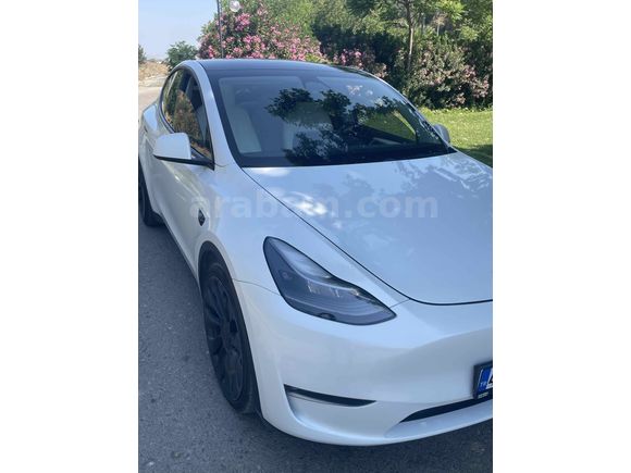 Sahibinden Tesla Model Y Performance (Legacy) 2023 Model Manisa
