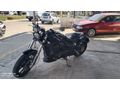 HATASIZ-2024 Regal Raptor Pilder 250............