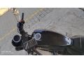 HATASIZ-2024 Regal Raptor Pilder 250............