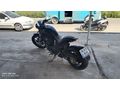 HATASIZ-2024 Regal Raptor Pilder 250............